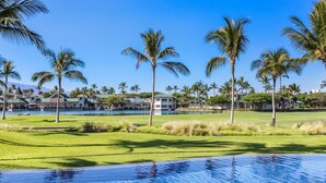 Un resort con piscina, palmeras y vista a un cuerpo de agua.