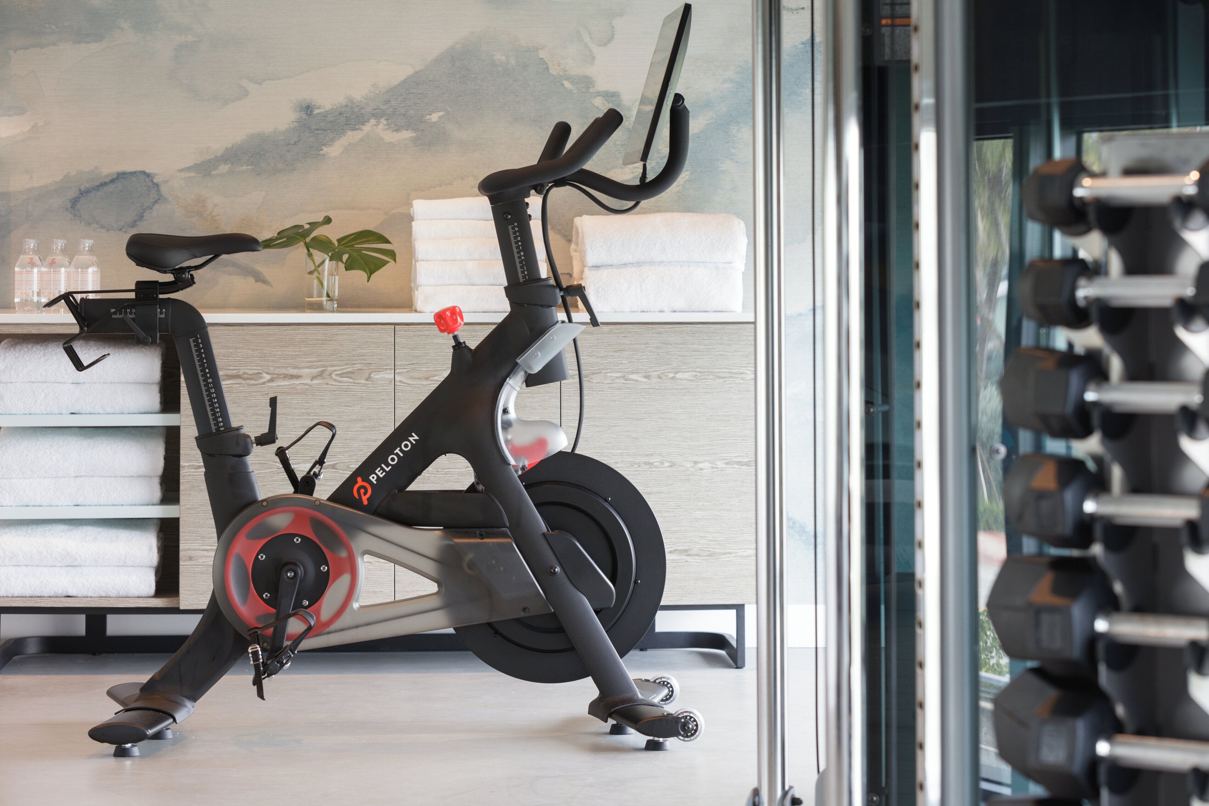 A stationary bike in a room with a wooden floor, a towel rack, and a wall with a painting.
