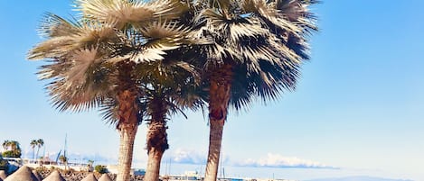 On the beach, sun-loungers, beach towels