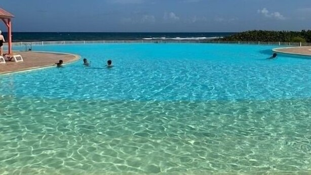 A clear blue pool with a view of the ocean and a covered area with chairs. - Superb Studio "Lespiedsdansleau" Garden level, sea view 2 Adults and 1 Child (SAINT FRANCOIS)