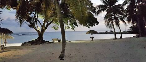 A beach with palm trees, a bench, and a thatched umbrella.