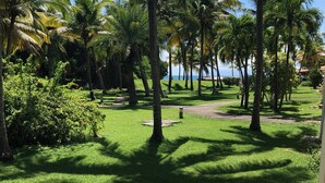 A well-maintained grassy area with palm trees and a clear view of the ocean. - Superb Studio "Lespiedsdansleau" Garden level, sea view 2 Adults and 1 Child (SAINT FRANCOIS)