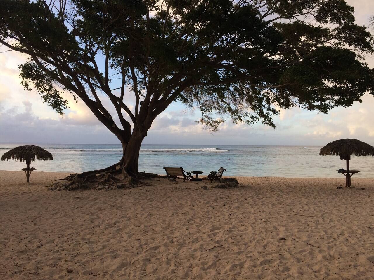 A beach with a large tree, two thatched umbrellas, and two lounge chairs under the tree.