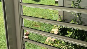 A view through a window with horizontal blinds, revealing a grassy outdoor area with palm trees and a clear sky. - Superb Studio "Lespiedsdansleau" Garden level, sea view 2 Adults and 1 Child (SAINT FRANCOIS)
