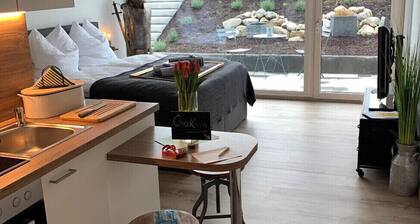 Romantik am Rheinfall *** Airport Zürich *** Bodensee ***