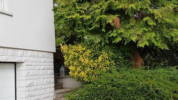 Ărea da propriedade