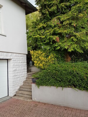 Property grounds - Furnished vineyard / Swimming pool / Sauna / near Strasbourg (Kuttolsheim)