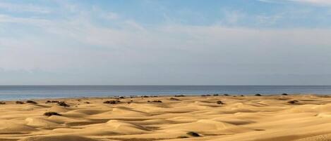 Plage à proximité, serviettes de plage