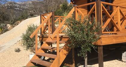 Wooden trailer on the river