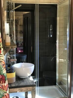 Hair dryer, towels, shampoo, toilet paper