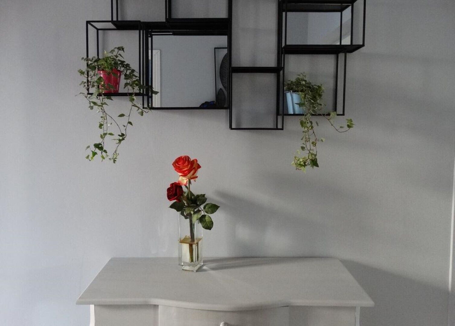 Une console blanche sur laquelle est posé un vase contenant une seule rose rouge. Au-dessus, on trouve deux étagères noires ornées de plantes en pot.