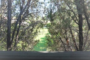 Property grounds - Randolph House Condominium- In the Heart of Tucson (Tucson)