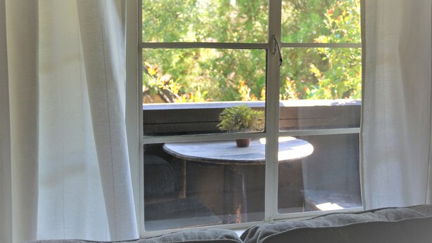 Une pièce avec une grande fenêtre, une table ronde et une plante en pot.