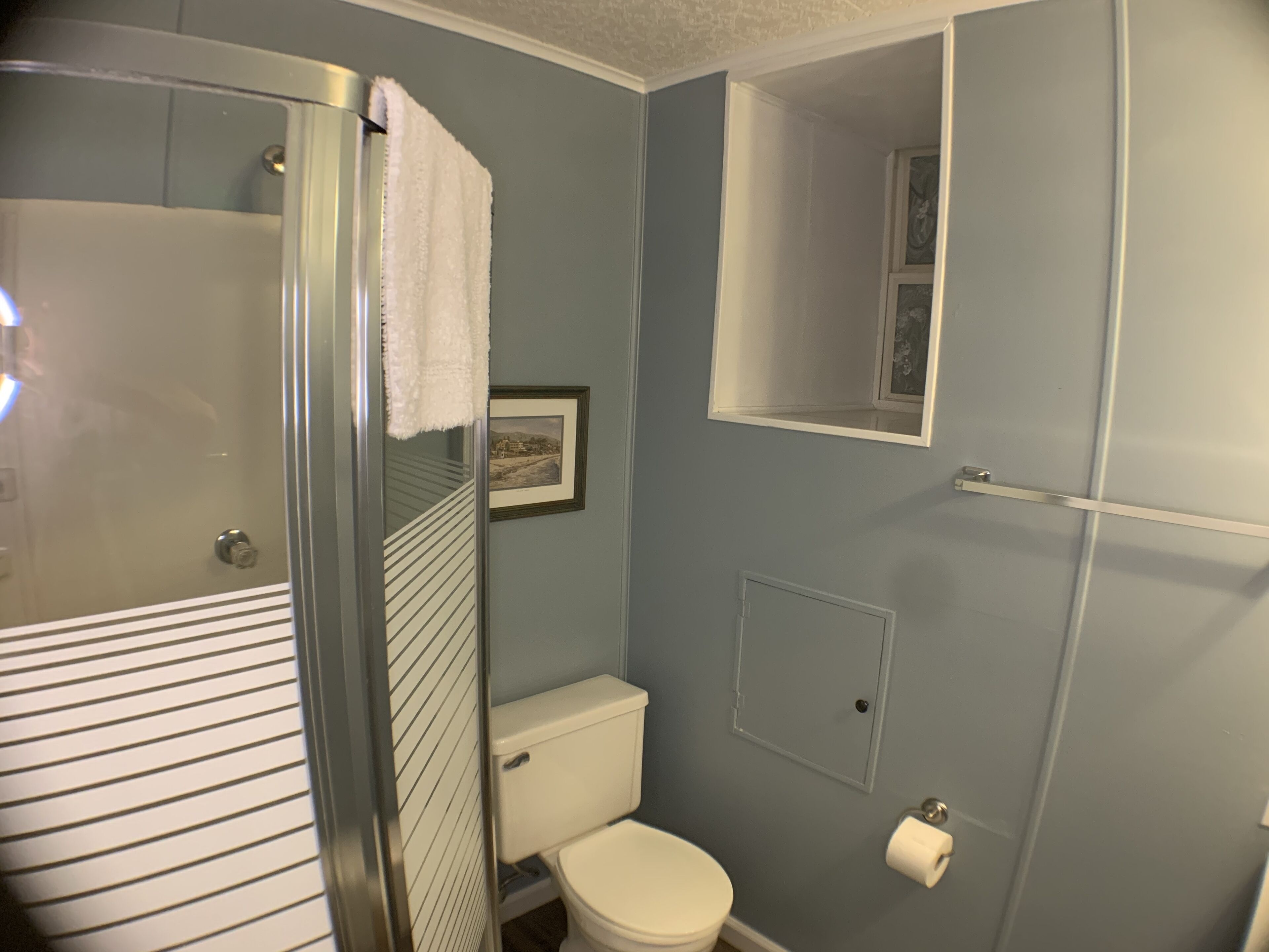A bathroom with a shower, toilet, and a framed picture on the wall.