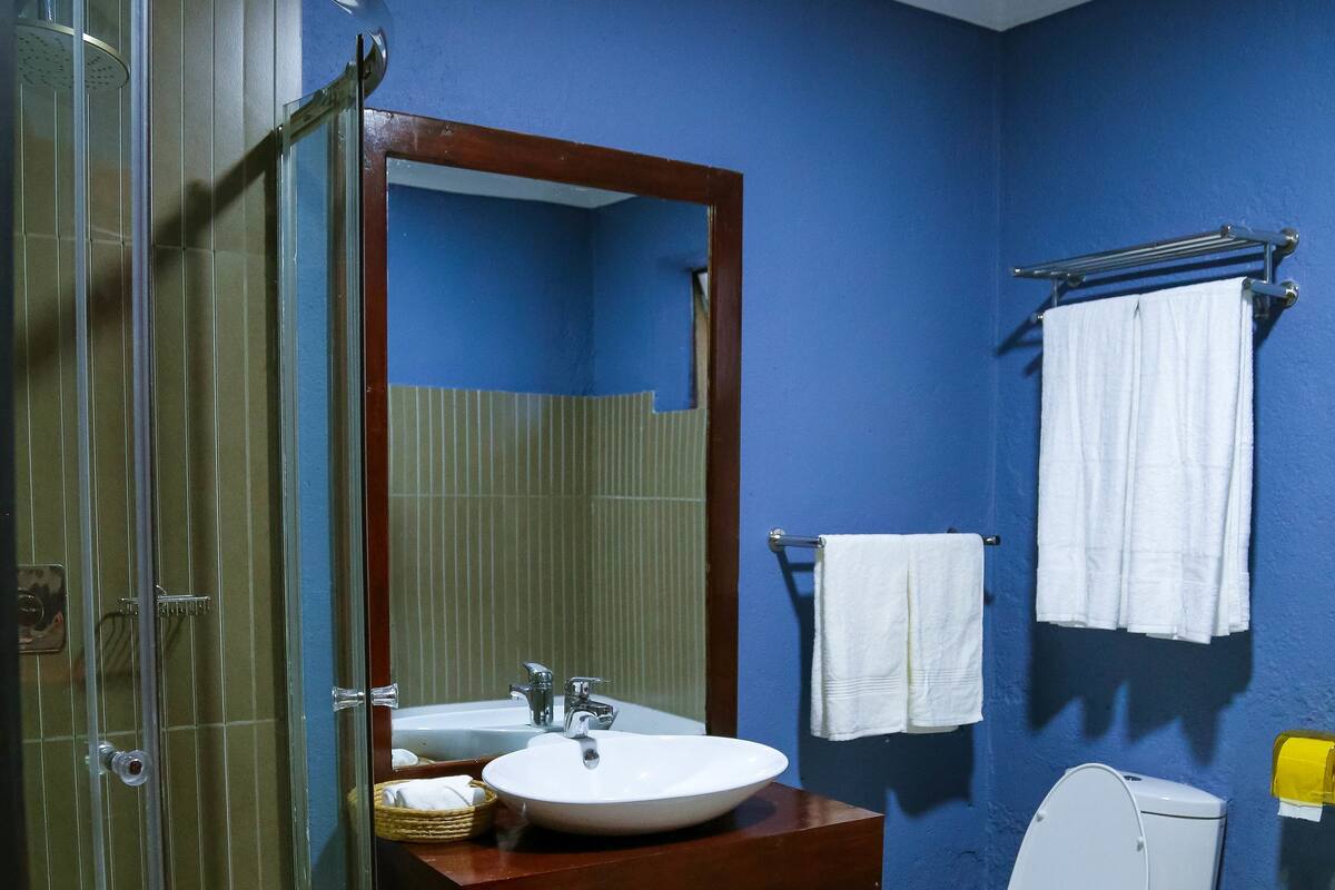 A bathroom with a glass shower enclosure, a sink, a toilet, and a mirror.