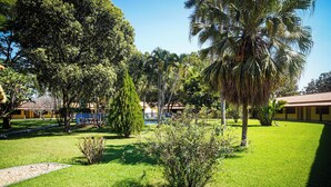 Um jardim bem cuidado com diversas árvores e um céu azul límpido.