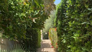Un escalier en pierre, entouré d’une végétation luxuriante et agrémenté d’un palmier.