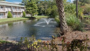 A pond with a fountain, surrounded by lush greenery and a building with balconies.