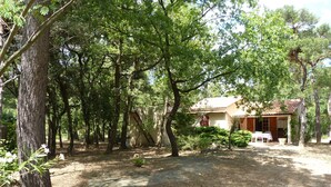 A rustic house surrounded by dense trees, with a patio area and a small table. - Your house in pines and green oaks (Uchaux massif). (Mornas)