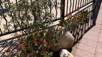 Detalle del exterior