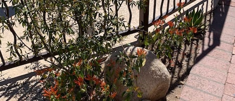 Detalle del exterior