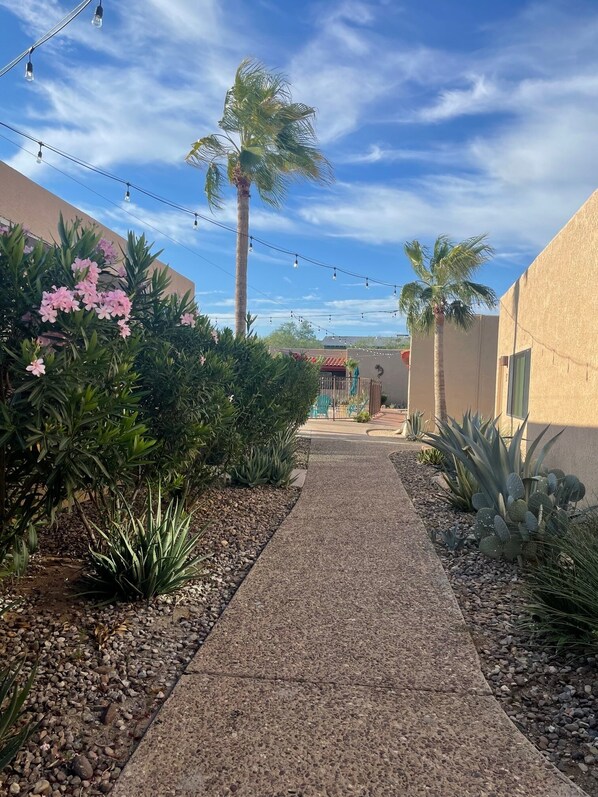Un sentier bordé de cactus et de plantes à fleurs, qui mène à un bâtiment surmonté d’un toit recouvert de tuiles rouges.