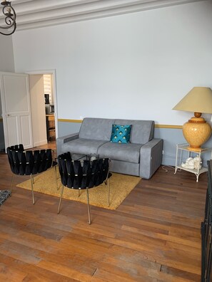 Télévision à écran plat, cheminée, livres