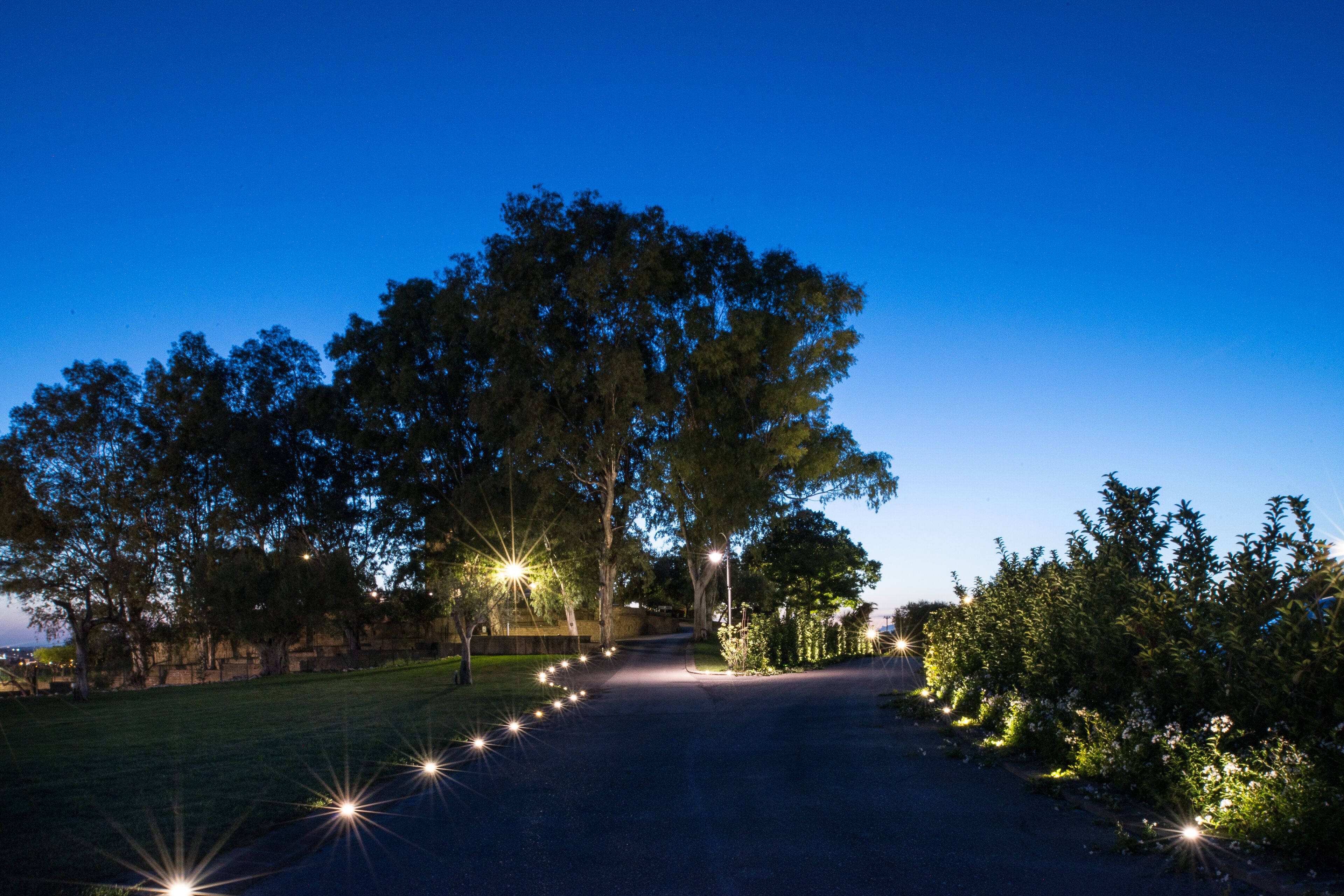 Un sendero pavimentado bordeado de árboles e iluminado por farolas.