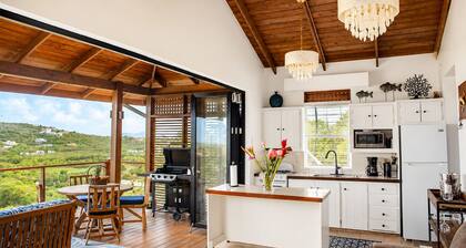 Ocean-view 1BR Orchid Cottage in Cap Estate with private pool, patio & A/C.