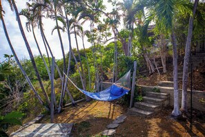 A hammock in a natural setting with trees and stone steps.