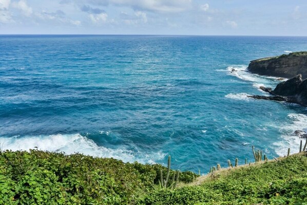 A coastal landscape with a view of the ocean and cliffs.