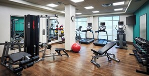 A gym with cardio machines, weightlifting equipment, and a red exercise ball. - Holiday Inn Express Sarnia - Point Edward by IHG (Sarnia)