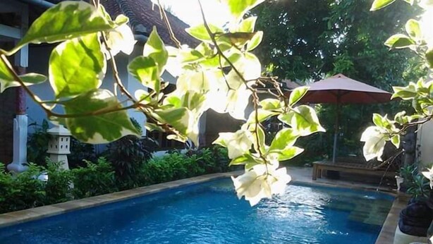 Outdoor pool - Taman Melati (Buleleng)
