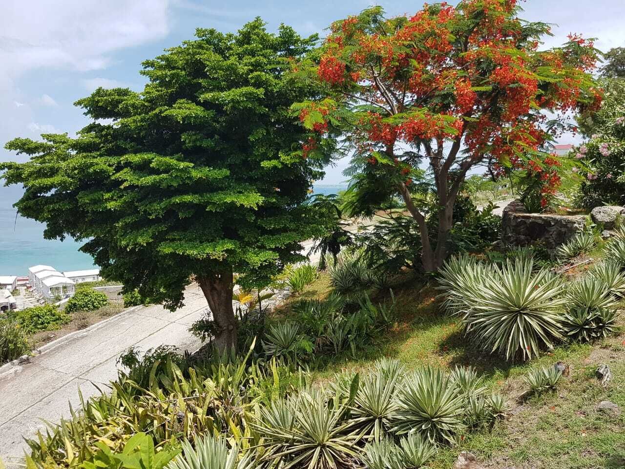 Overnattingsstedets uteområder