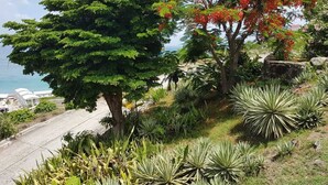 Un paysage côtier caractérisé par une diversité d’arbres et de plantes, une route asphaltée et une vue sur la mer.