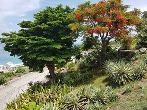 Property grounds - Villa Pineapple - Grand Case (Hotel Esplanade Area) 5 min Orient Bay (Grand-Case)