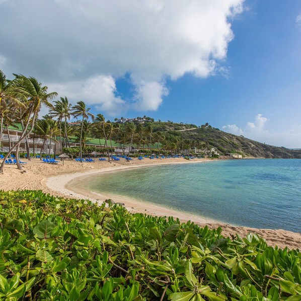 Camastros y toallas de playa 