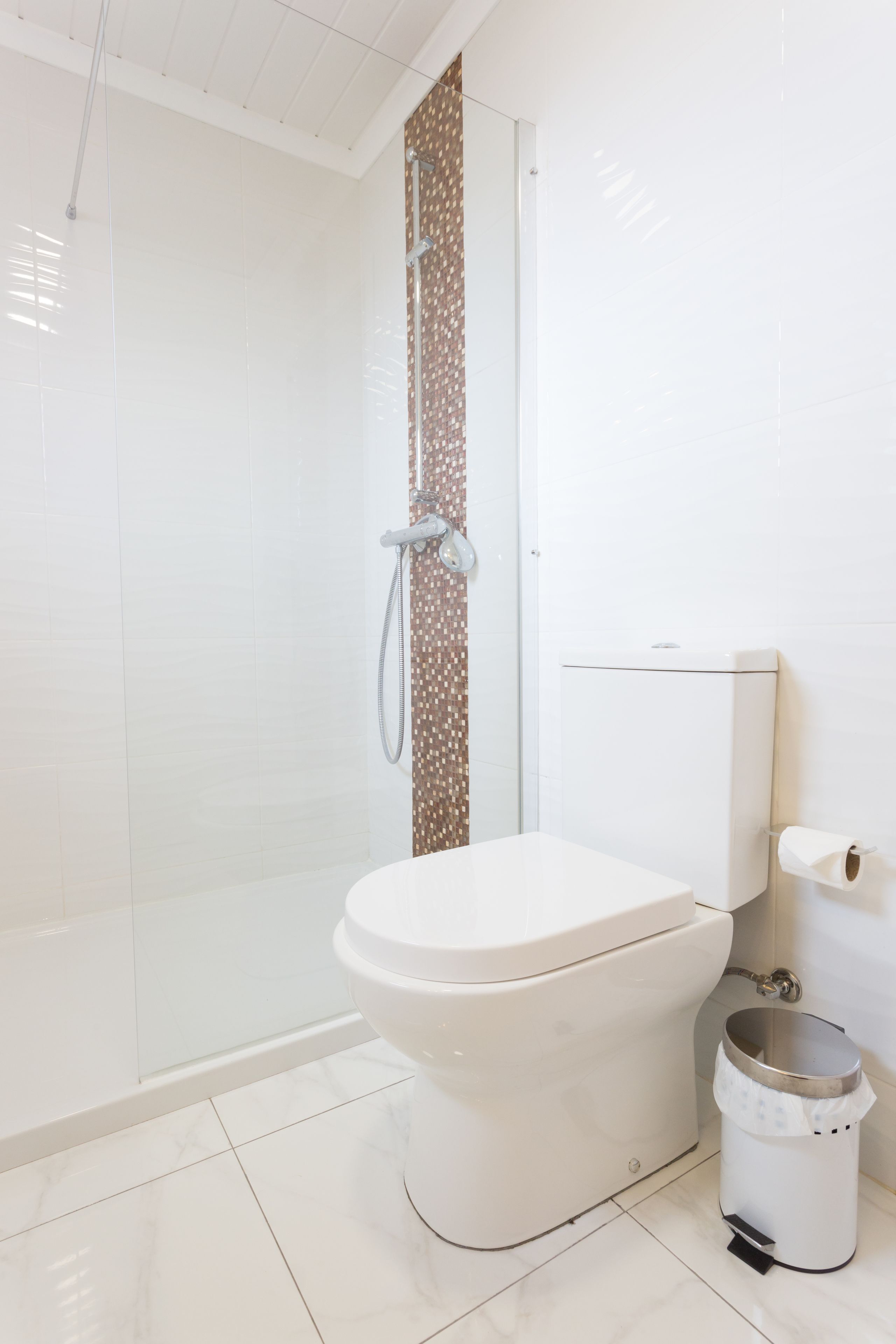 A modern bathroom with a glass shower enclosure, a white toilet, and a trash bin.