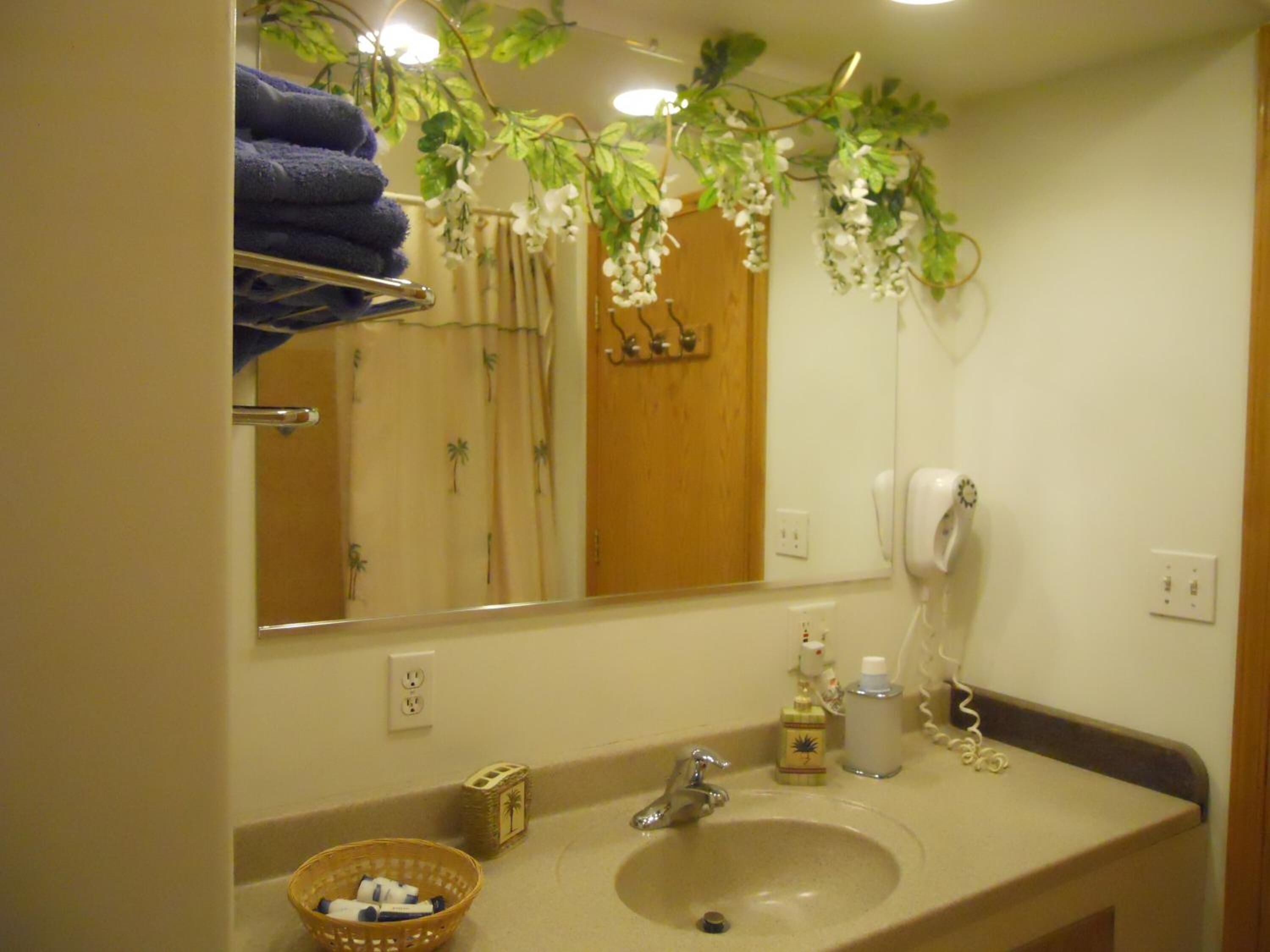 combined shower/bathtub, jetted bath, free toiletries, hair dryer