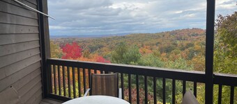 Winterplace Condo D306