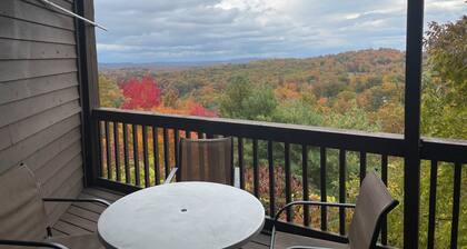Winterplace Condo D306