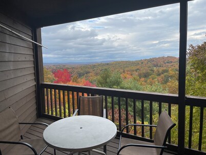 Winterplace Condo D306