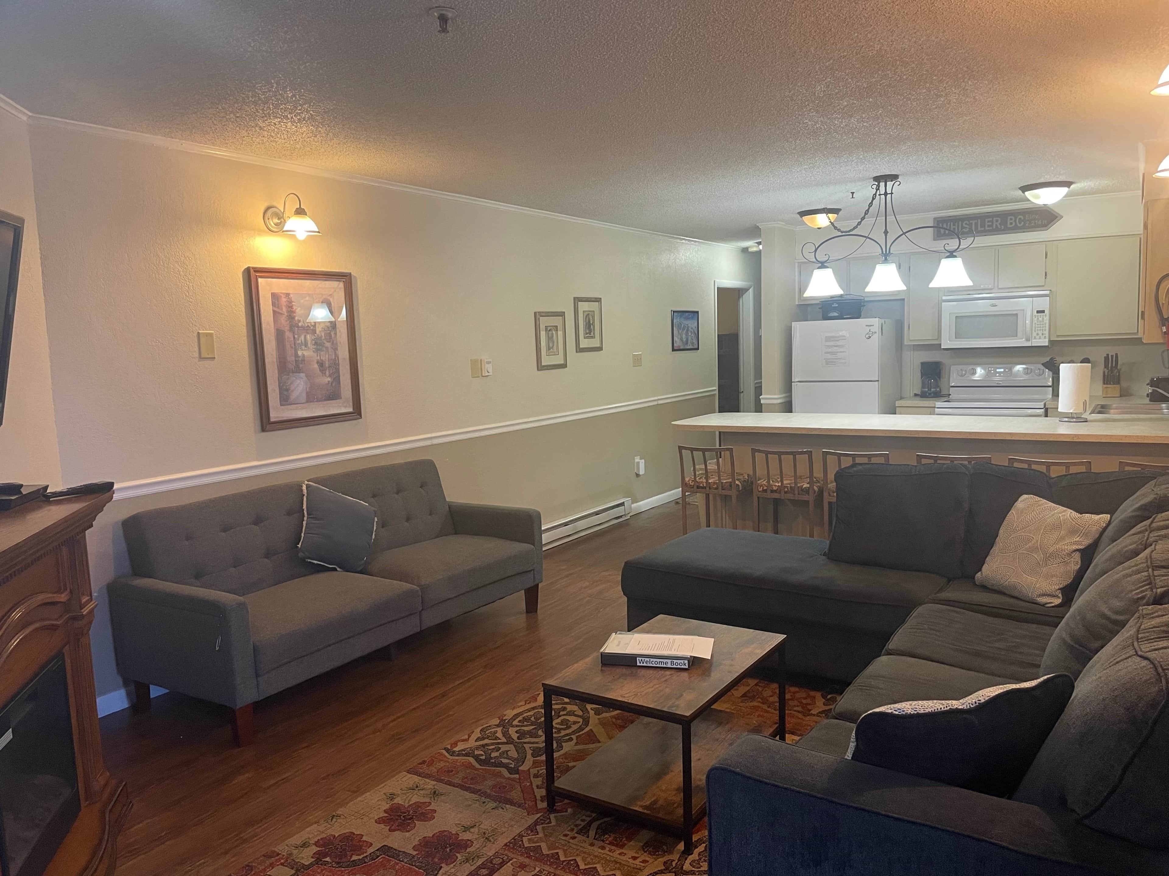 电视、壁炉、DVD 播放器