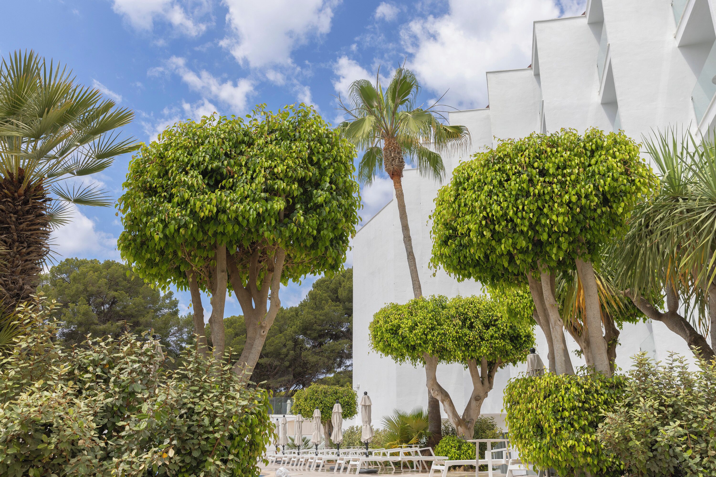 Un patio con árboles bien cuidados, una palmera y un edificio blanco de diseño moderno.