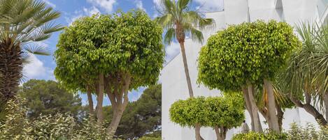Un patio con árboles bien cuidados, una palmera y un edificio blanco de diseño moderno.
