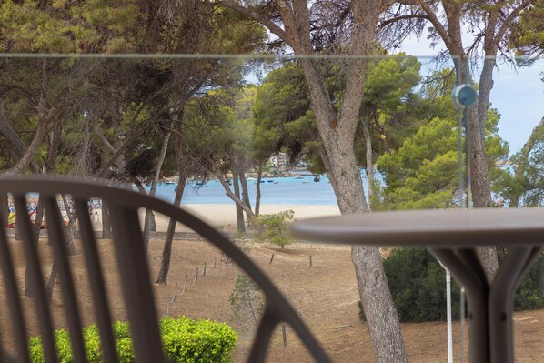 Μια παραλία με θέα σε δέντρα και έναν καθαρό ουρανό.