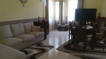 Télévision, cheminée, jeux vidéo, lecteur de DVD