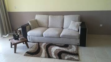 Télévision, cheminée, jeux vidéo, lecteur de DVD