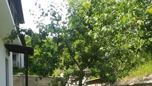 A well-maintained garden with a variety of flowering plants and a tree. - HOLLY - Quiet guest house with seaview and a pool (Balchik)