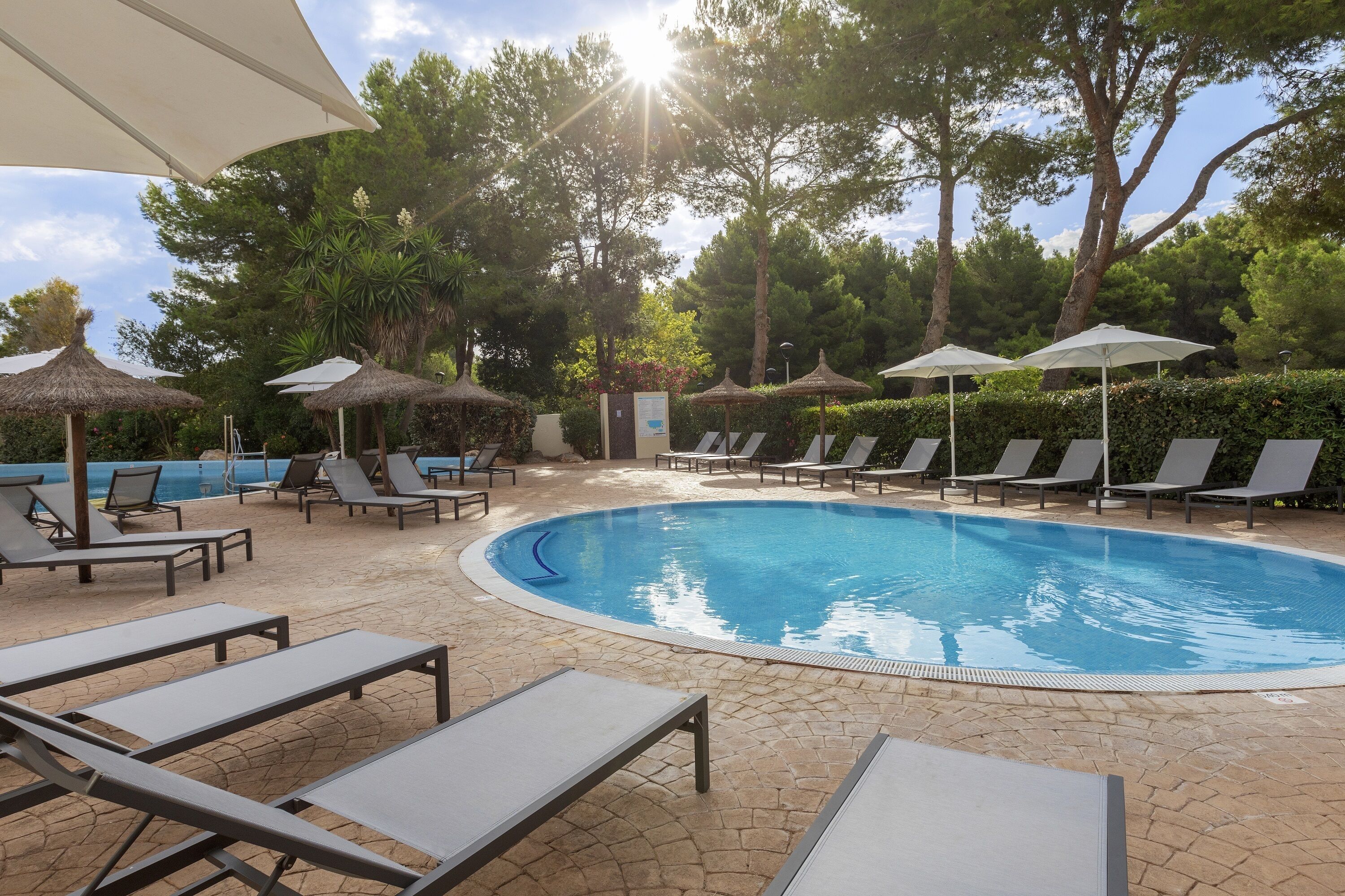Un área de piscina con sillones de descanso y sombrillas, rodeada de árboles y un cielo despejado.